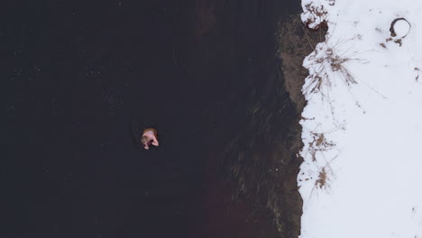 An-ice-bathing-woman-finishes-her-daily-winter-swim,-aerial-top-down