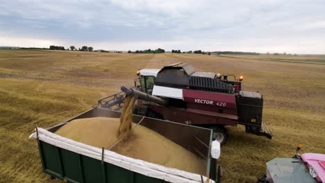 Luftaufnahme-Eines-Mähdreschers,-Der-Weizen-Mit-Traktor-Auf-Einen-Karrenwagen-Umlädt,-Drohnenaufnahme