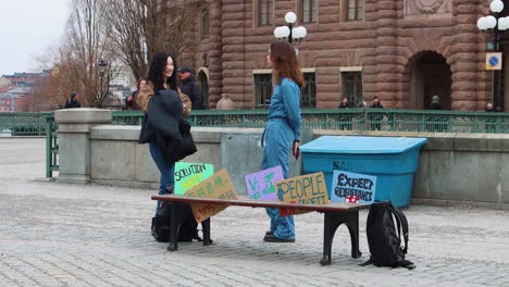 Zwei-Aktivisten-Unterhalten-Sich-Beim-Klimastreik-Von-Fridays-For-Future-In-Stockholm