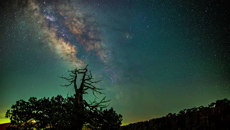 Las-Estrellas-Y-La-Vía-Láctea-Aparecen-Junto-A-Los-árboles-Que-Bordean-El-Bosque-Cuando-Amanece---Timelapse