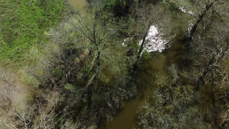 Bell-Slough-State-Wildlife-Management-Area-Mit-Malerischen-Bächen-In-Arkansas,-USA-–-Luftaufnahme-Einer-Drohne