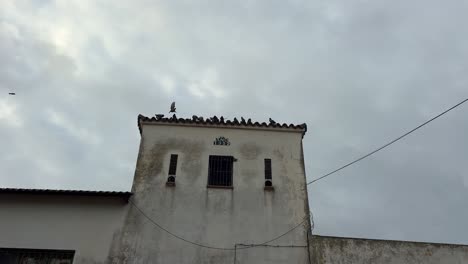 Approaching-weathered-structures-along-Spain's-coastline,-adorned-with-perched-pigeon-flocks,-evoking-a-sense-of-timeless-architectural-charm