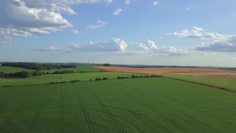 Aerial-image-of-a-growing-soybean-plantation-in-the-interior-of-Rio-Grande-do-Sul-in-Brazil