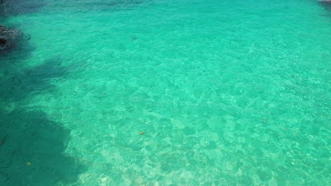 Aerial-view-of-leaves-and-sticks-in-transparent,-turquoise-waters-of-Africa