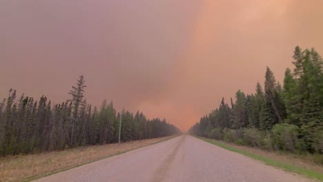 POV-Aufnahme-Eines-Autos,-Das-Auf-Einer-Unbefestigten-Straße-In-Einem-Wald-Mit-Feuerwolken-Am-Himmel-Fährt