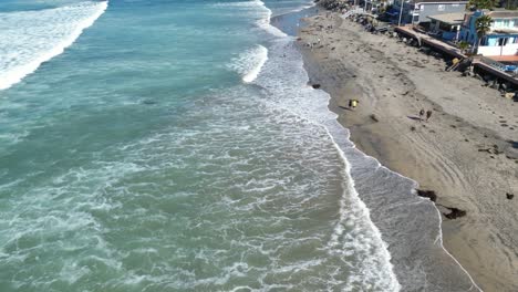 Parejas-Caminando-Mientras-Las-Familias-Juegan-Con-Perros-En-La-Playa