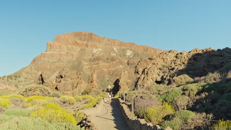 Paisaje-Del-Parque-Nacional-Del-Teide-Y-Mujer-Caminando-A-Distancia,-Vista-Posterior