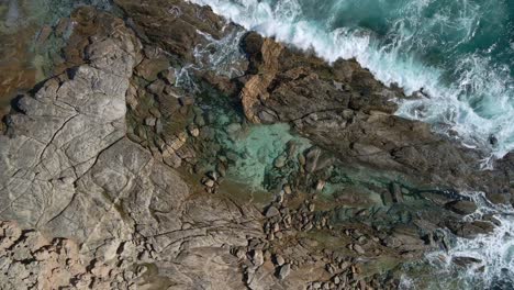 Top-down-drone-view-of-tourists-swimming-at-natural-rock-pool-at-Greenly-Beach,-Eyre-Peninsula,-South-Australia