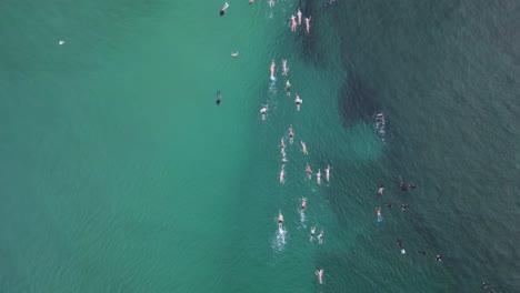 Competitors-competing-in-an-ocean-swimming-race-swim-through-a-group-of-tourist-snorkeling-on-a-reef