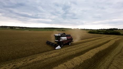 Disparo-De-Drone-De-Una-Cosechadora-De-Granos-En-Un-Gran-Campo-Agrícola-Cosechando-Trigo