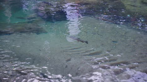 4k-Beautiful-Clear-Water-of-Ginzan-Onsen,-Yamagata-Japan