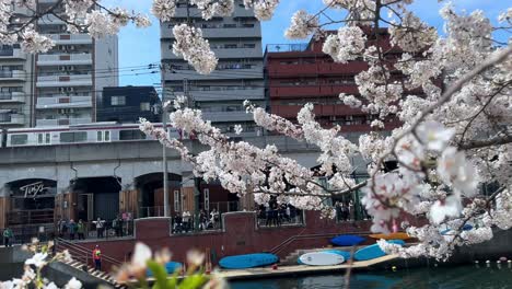 Zug-Fährt-An-Der-Japanischen-Stadt-Yokohama-Vorbei,-Mit-Kirschblüten-Und-Skyline-Im-Frühling