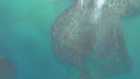 The-Puerto-Viejo-Reef-in-Talamanca,-Costa-Rica