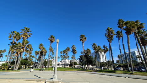 Palm-trees-and-buildings-in-Los-Angeles-viewed-from-Venice-beach
