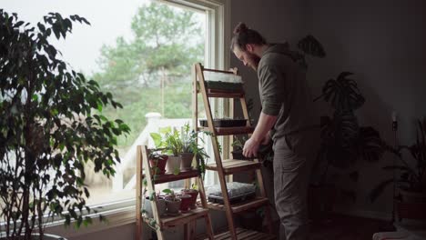 A-Man-Checking-On-Growing-Seedlings-Plants-At-Home