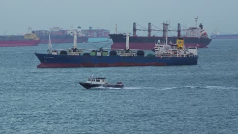 Boat-from-the-government-authority-sailing-around-the-large-cargo-ships-on-the-strait-of-Singapore,-inspecting-the-custom-goods-and-documenting-it-before-it-arrives-to-inland