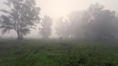 Un-Paisaje-Etéreo-Velado-Por-La-Niebla-Y-La-Niebla,-Donde-Los-árboles-Se-Elevan-Desde-Campos-Verdes-Y-Los-Caballos-Se-Encuentran-En-Medio-De-La-Escena