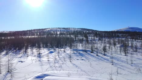 Casa-En-Un-Bosque-De-Invierno-Sobre-Un-Fondo-De-Colinas-Y-Sol