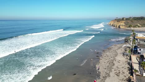 Familias-Jugando-Con-Perros-En-La-Playa