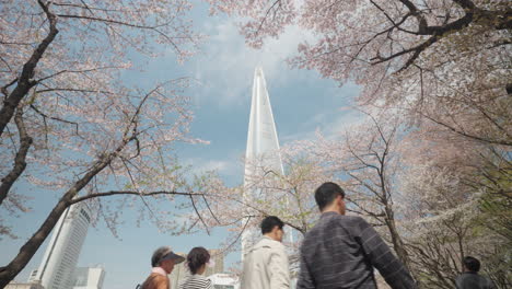 Lotte-World-Tower-And-Cherry-Blossom-Trees,-KoreanPeople-Walking-in-Songpa-Naru-Park