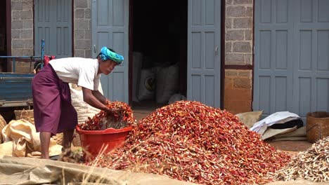 Un-Hombre-Seca-Sus-Chiles-Al-Sol-En-Myanmar.