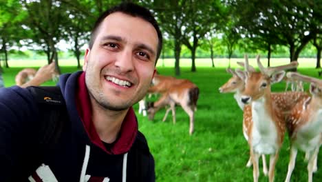 Man-filming-a-selfie-with-many-cute-wild-deers-in-Phoenix-Park,-Dublin