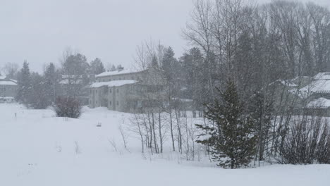 Toma-En-Cámara-Lenta-De-Fuertes-Nevadas