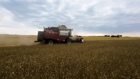 Grain-Harvester-Machine-in-Farming-Field-Harvesting-Wheat,-Drone-Aerial-View
