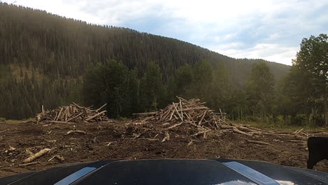 Deforestation-area-with-industrial-equipment-and-cows,-driving-backwards-POV-shot