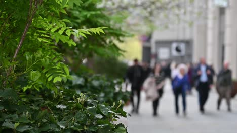 Bokeh-Hinter-Einem-Baum-Im-Zentrum-Von-London,-Großbritannien