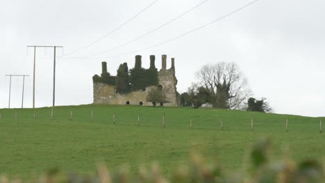 Carbury-Castle,-Townland-of-Carbury,-County-Kildare,-Ireland