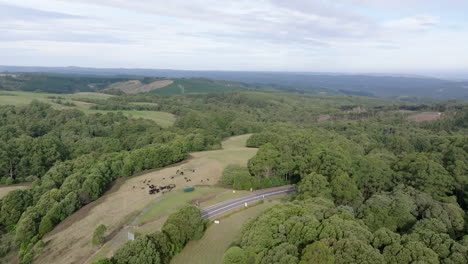 AERIAL-Over-Green-Australian-Hills-and-Countryside,-Lavers-Hill