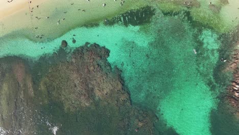 Aerial-view-capturing-underwater-beauty-of-coral-reefs-at-Playa-la-Entrega,-Huatulco,-Mexico