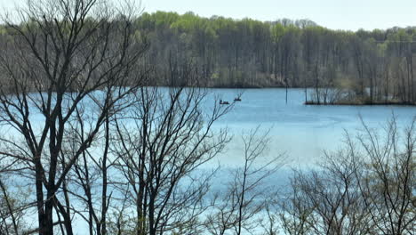 Kahle-Bäume-Im-Wald-Am-Glenn-Springs-Lake-Bei-Tageslicht-In-Tennessee,-USA