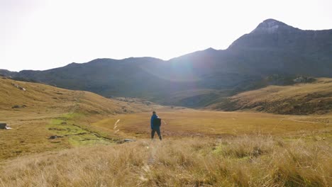 Lone-Male-Hiker-Walking-Across-Wild-Meadow-Valley-In-Valmalenco-alps