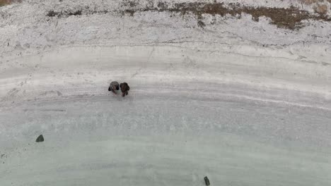 Mother-and-kid-play-in-cold-water-and-sand-at-beach,-aerial-birdseye-perspective