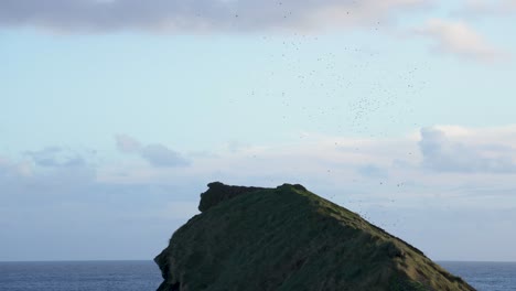 Murmuration-of-starlings-flocking-together-in-sunset-sky,-Ilheu-Sao-Roque