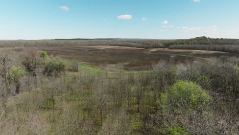 Aerial-View-Of-Bare-Trees-And-Fields-In-Bell-Slough-State-Wildlife-Management-Area,-Arkansas,-United-States---Drone-Shot