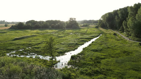 Antena-Lateral-Del-Pequeño-Río-Que-Fluye-A-Través-De-La-Reserva-Natural-De-Bourgoyen-ossemeersen-En-Gante.