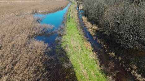 Grassy-Trail-Through-Peatland-In-Bell-Slough-Wildlife-Management-Area-Near-Mayflower-In-Arkansas