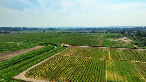 Vista-Aérea-Del-Río-Serpentina-A-Través-De-Los-Campos-Verdes-En-Surrey,-Columbia-Británica,-Canadá