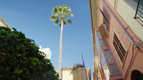 Sonniger-Tag-In-Palma-De-Mallorca-Mit-Klarem-Blauen-Himmel