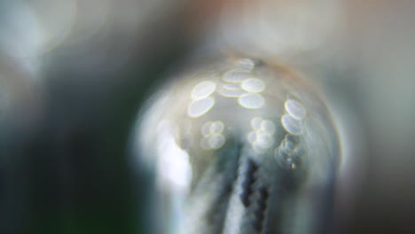 Macro-close-up-shot,-USB-wire-in-a-round-plastic-cover,-DREAMY-BOKEH,-charging-cable-in-a-glowing-clear-case