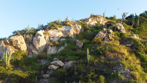 Aerial-Rising-Shot-Towards-Rocky-Outcrop-With-Cactus-Plants-On-Ridgeline-In-Santa-Marta,-Magdalena,-Colombia