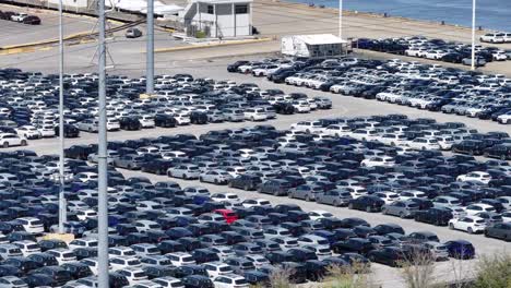 Hundreds-of-cars-sit-on-the-dock-ready-to-be-sold-in-the-United-States