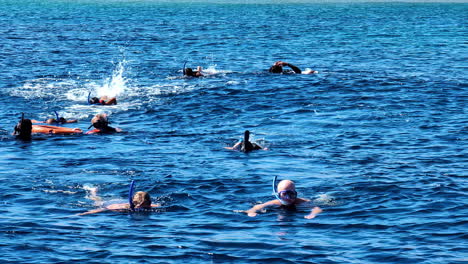 Group-of-people-snorkeling-in-Pacific-ocean,-handheld-view