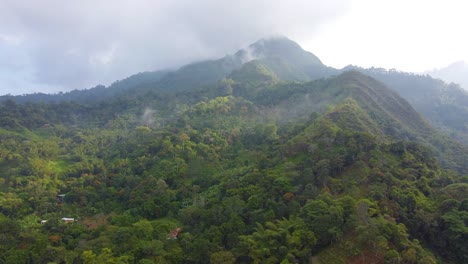 Selva-Húmeda-De-Montaña-Cubierta-De-Niebla-Mientras-El-Sol-De-La-Mañana-Arroja-Luz