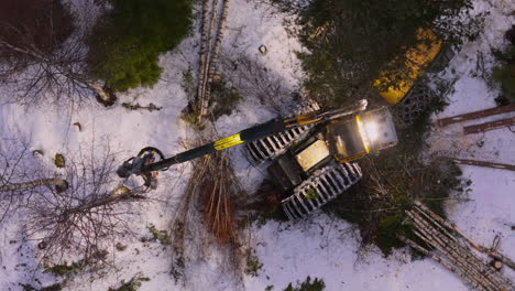 Harvester-felling-delimbing-and-bucking-birch-trees-in-snowy-forest,-top-drone