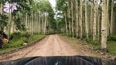 Una-Sola-Máquina-Maderera-Parada-En-Un-Denso-Bosque,-Pov-Conduciendo-Por-Un-Camino-De-Grava