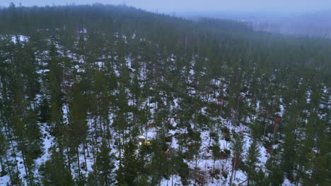 Harvester-with-lights-on-at-dawn-felling-trees-in-snowy-forest,-wide-aerial